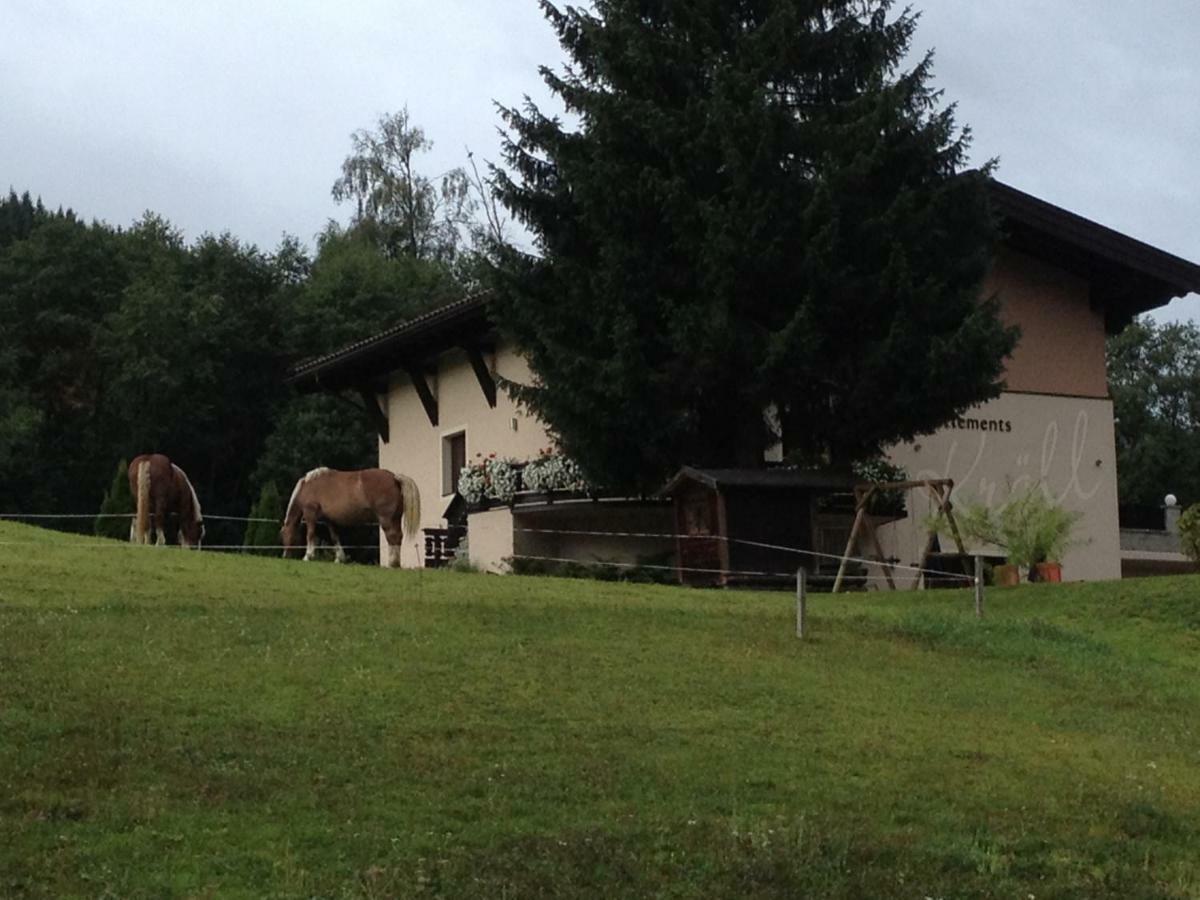 Appartements Kroell, Joker Card In Summer Included! Saalbach-Hinterglemm Luaran gambar